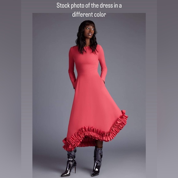 Greta Constantine Sevin Midi Dress in Fuschia - Picture 9 of 17